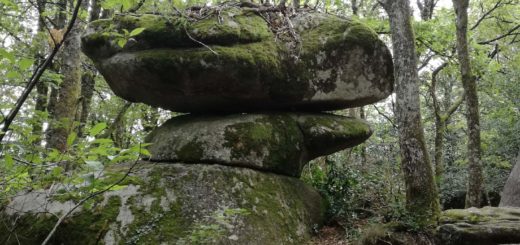 les rochers décalés du Sidobre