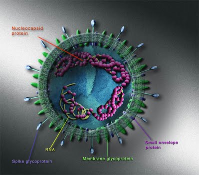 Coronavirus en Espagne